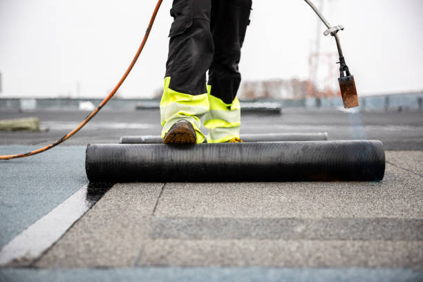 Professional Roofing Services in Justice, IL